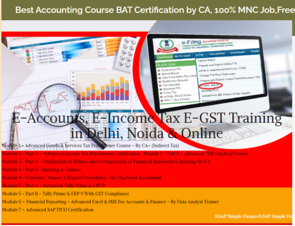 accounting-training-course-in-delhi-110014-with-free-sap-finance-fico-by-sla-consultants-institute-in-delhi-ncr-finance-analytics-certification-big-0