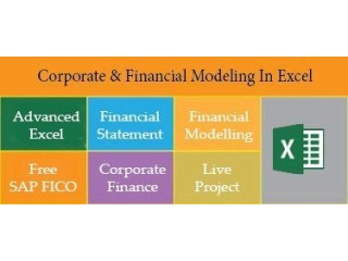 Financial Modelling Course in Delhi, 110044. Best Online Live Financial Analyst Training in Hyderabad by IIT Faculty , [ 100% Job in MNC]